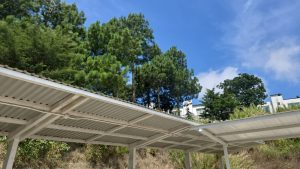 Julio Verne Paneles Solares Ecolumen