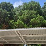 Julio Verne Paneles Solares Ecolumen