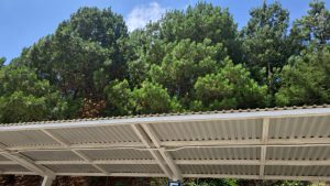 Julio Verne Paneles Solares Ecolumen