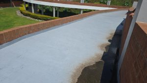 Julio Verne Paneles Solares Ecolumen