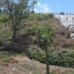 Julio Verne Paneles Solares Ecolumen