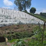 Julio Verne Paneles Solares Ecolumen